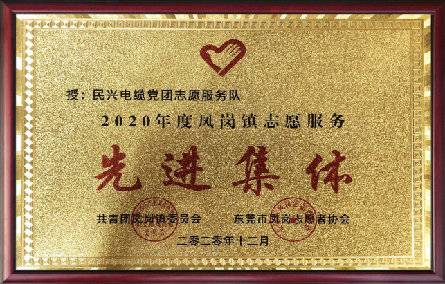 民興電纜黨團志愿服務(wù)隊蟬聯(lián)“先進集體”榮譽稱號