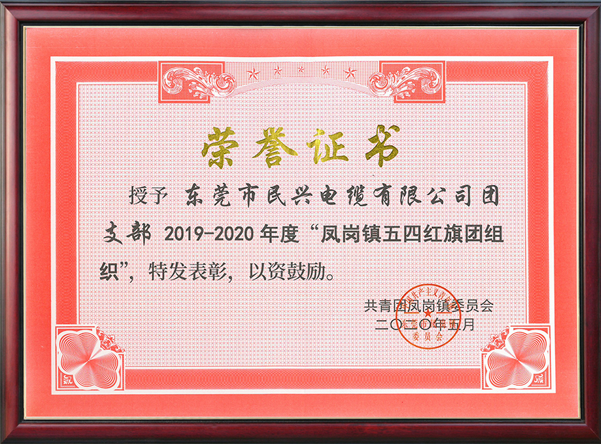  民興電纜團(tuán)支部獲“鳳崗鎮(zhèn)五四紅旗團(tuán)組織“稱號(hào)
