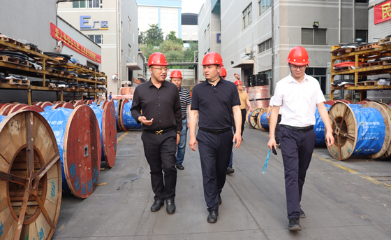 應(yīng)急管理部四川消防研究所、東莞市質(zhì)檢中心一行蒞臨民興電纜調(diào)研指導(dǎo)