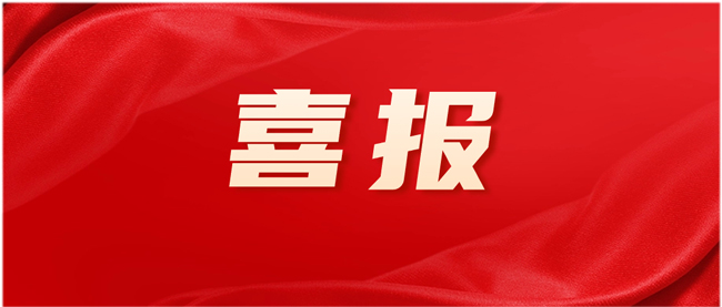 民興電纜王秀忠獲評“2023年度東莞市杰出首席質量官”！
